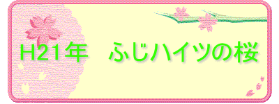 H21�N�@�ӂ��n�C�c�̍�