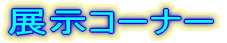 �W���R�[�i�[ 
