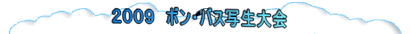 �Q�O�O�X�@�{���E�o�X�ʐ����